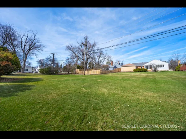 a view of yard with trees