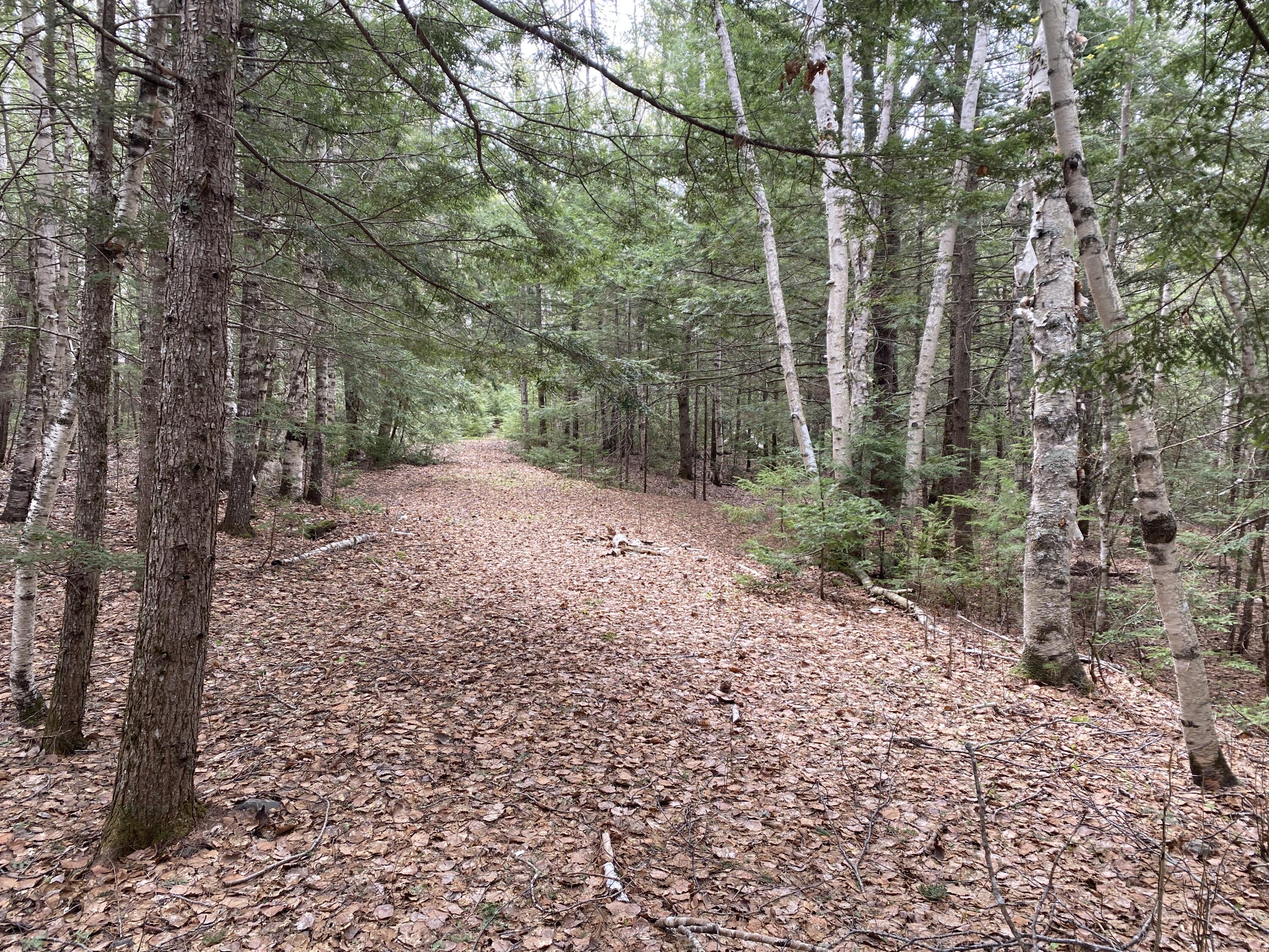 Tbd Depot Road Lakeville, ME 04487 - Photo 28 of 56