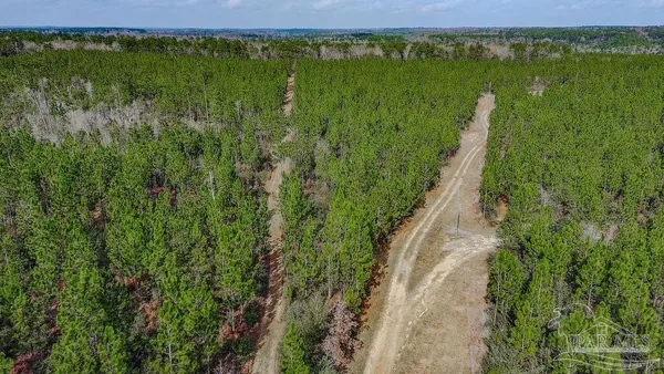 $259,000 | 0 Mustard Seed Lane, Milton, FL 32570