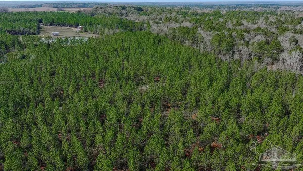 $259,000 | 0 Mustard Seed Lane, Milton, FL 32570