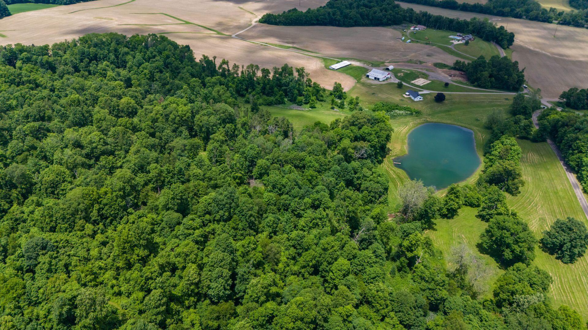 2428 Applegate Road Lucas, OH 44843 - Photo 96 of 104