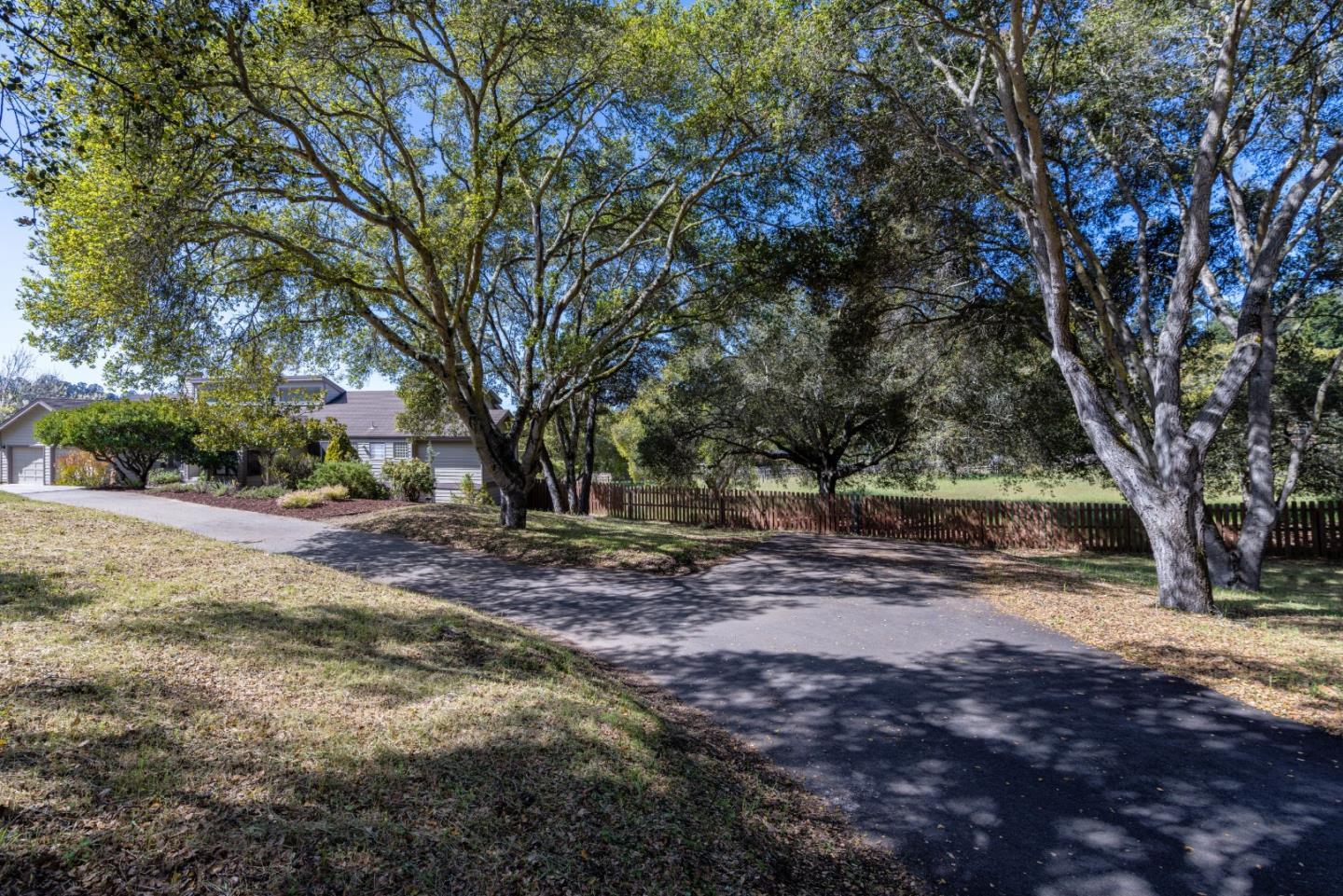 573 Meadow Road Aptos, CA 95003 - Photo 4 of 53 a view of a tree in the middle of a yard