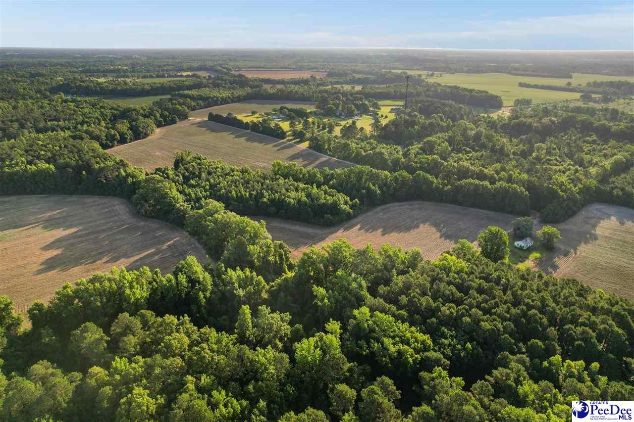 Lot 2-tbd Windham Town Road Lamar, SC 29069 - Photo 8 of 14 Gallery Image 8