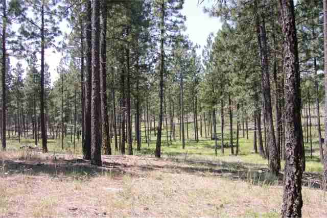 216-xx West Jacobs Road Spokane, WA 99224 - Photo 2 of 3