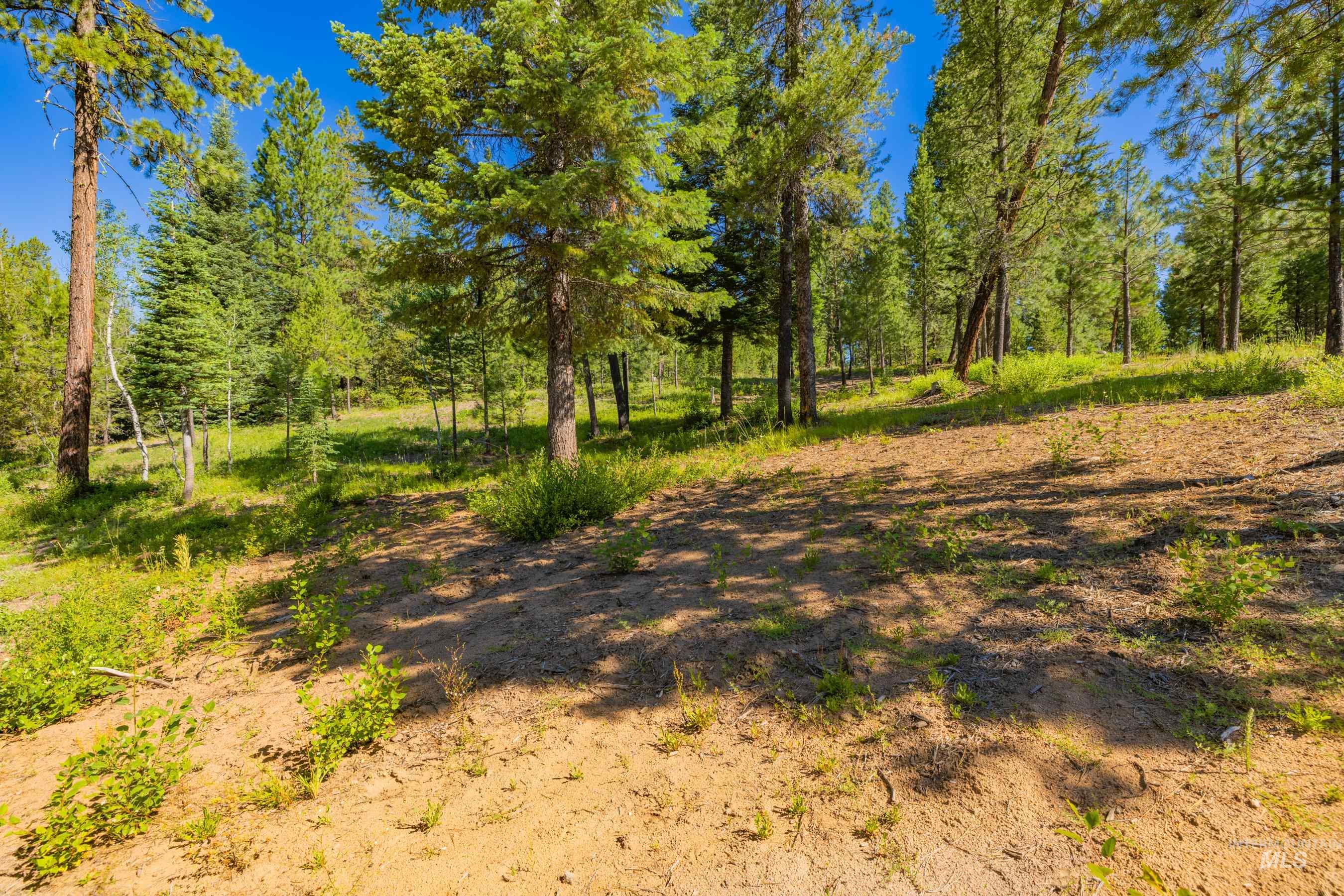 151 Timber Haven Place Cascade, ID 83611 - Photo 24 of 41
