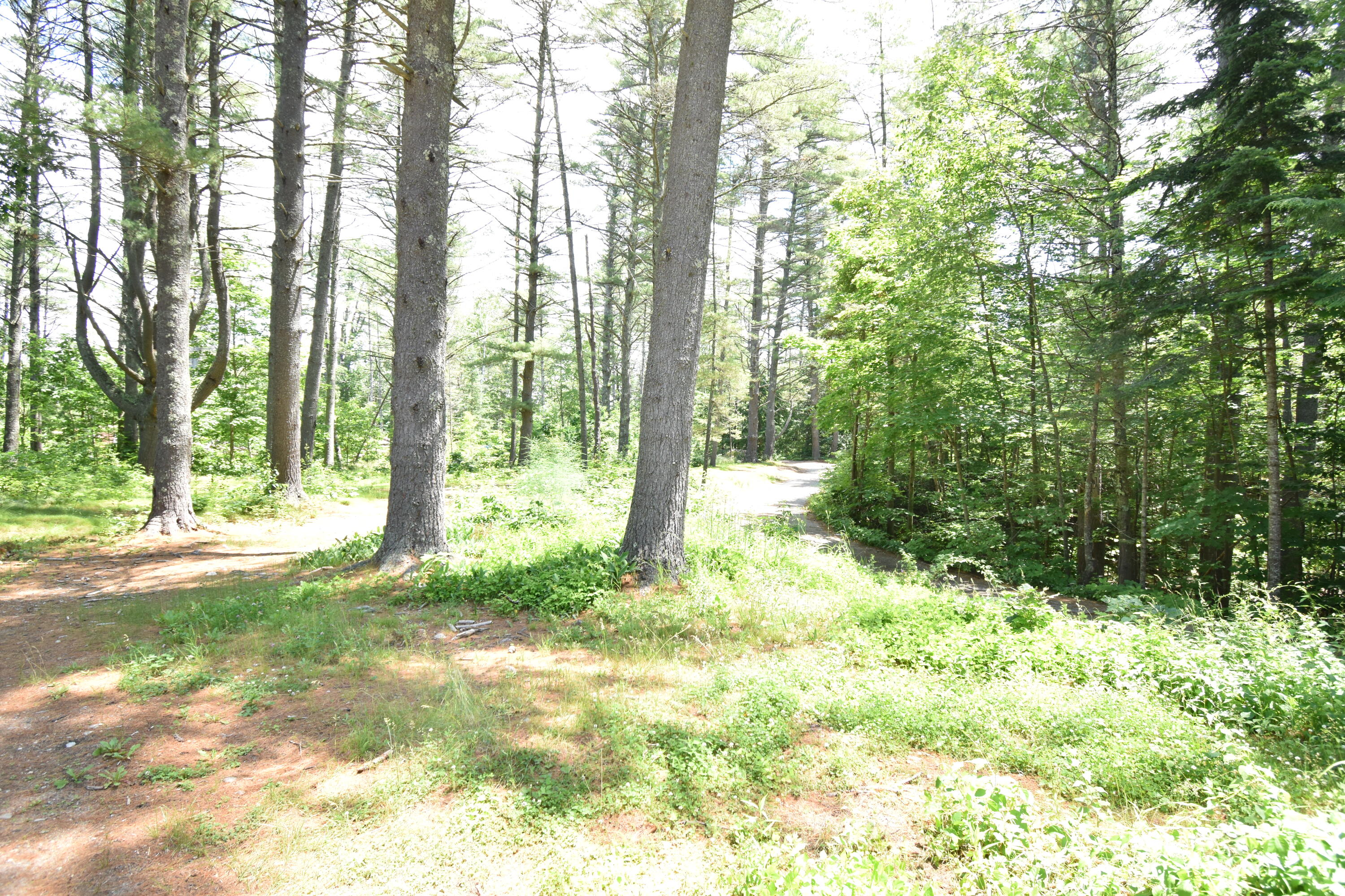 16 Peterson Road Raymond, ME 04071 - Photo 22 of 24 DSC_7106