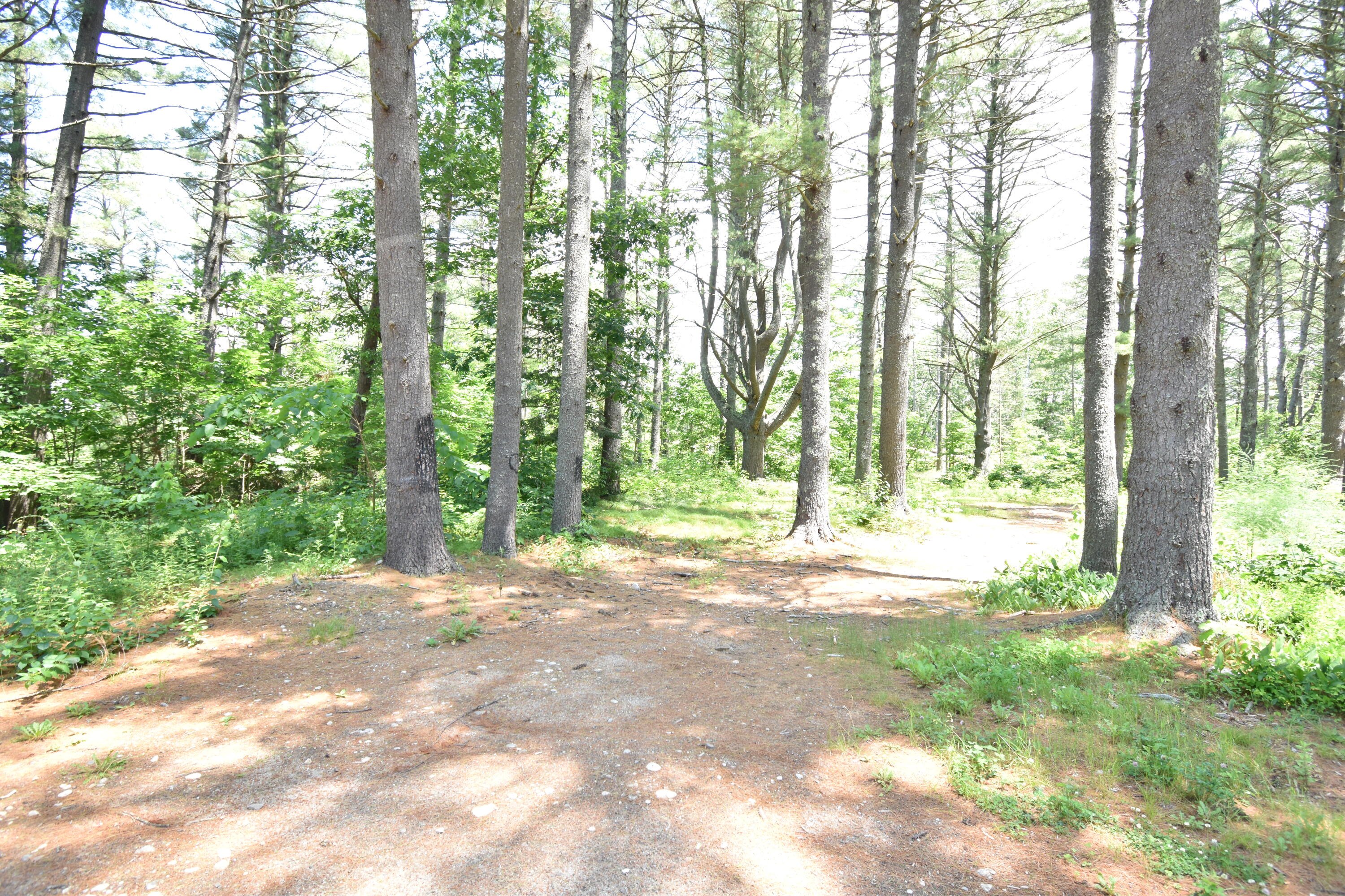 16 Peterson Road Raymond, ME 04071 - Photo 23 of 24 DSC_7107