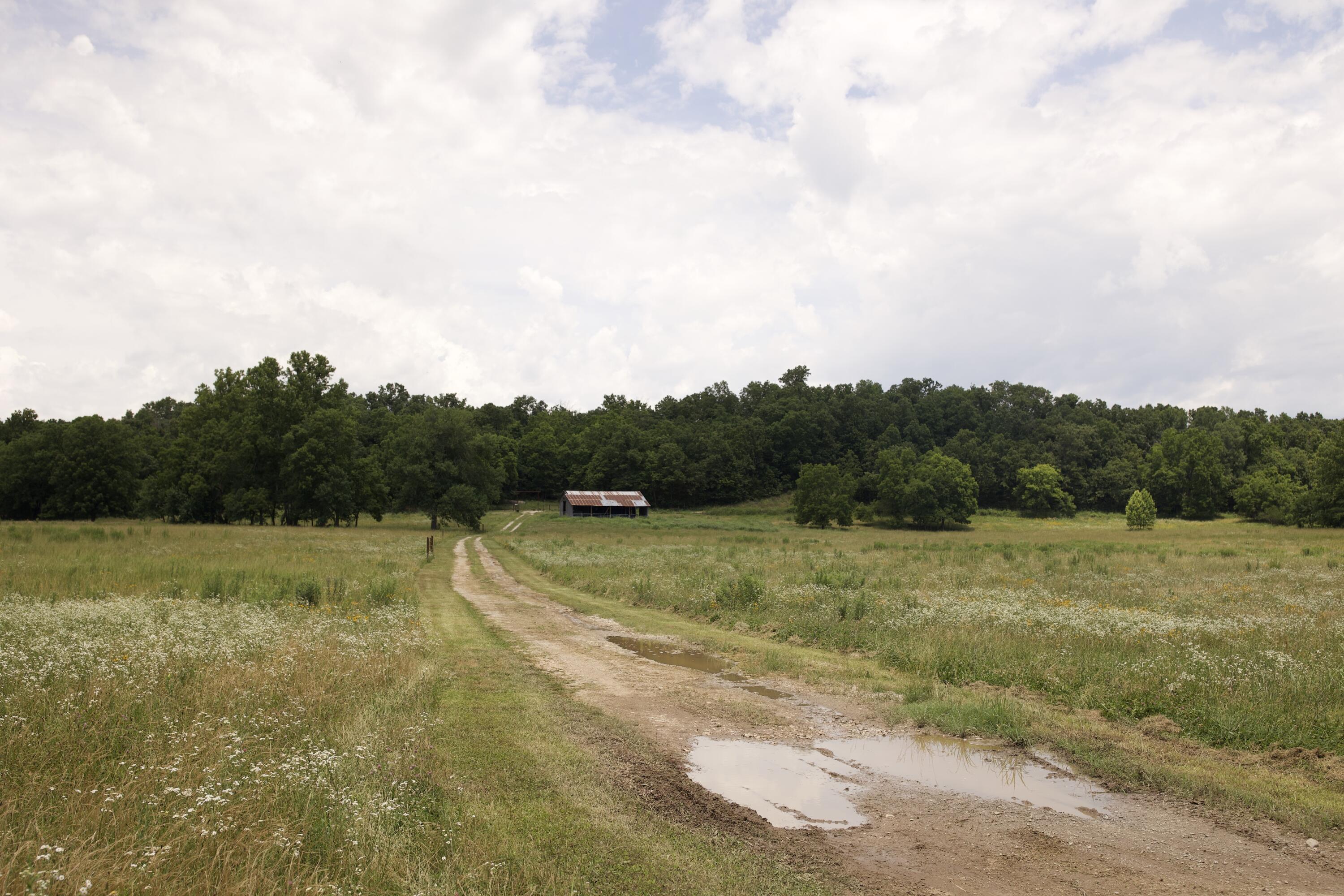 540 Reindeer Road Neosho, MO 64850 - Photo 87 of 125 340A8309 copy