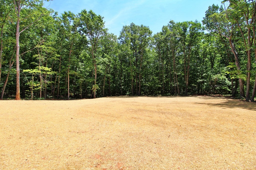 1582 Oak Rdg Road Appomattox, VA 24522 - Photo 5 of 30 Gallery Image 5