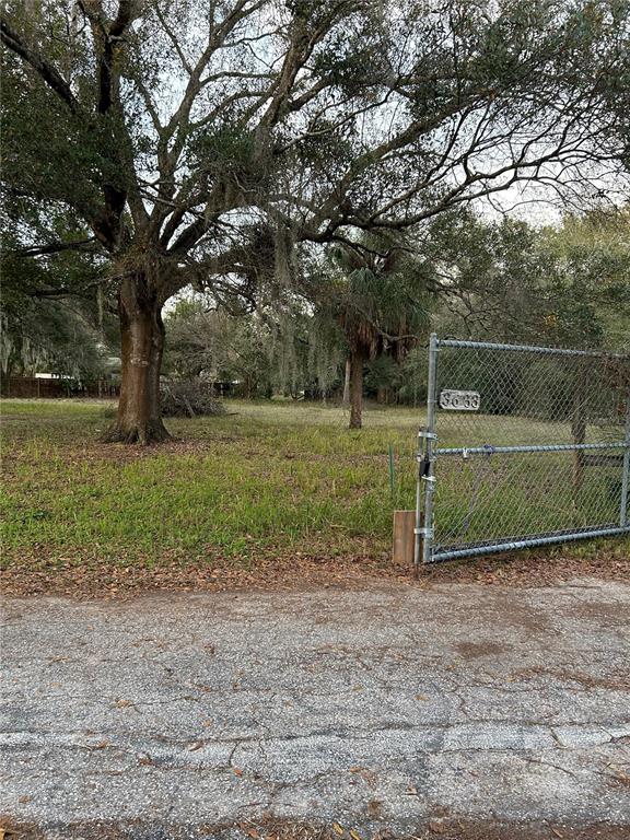 3633 Apfel Road Wesley Chapel, FL 33543 - Photo 3 of 30