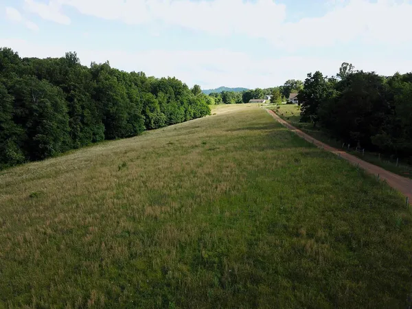 a view of a large trees with grassy field