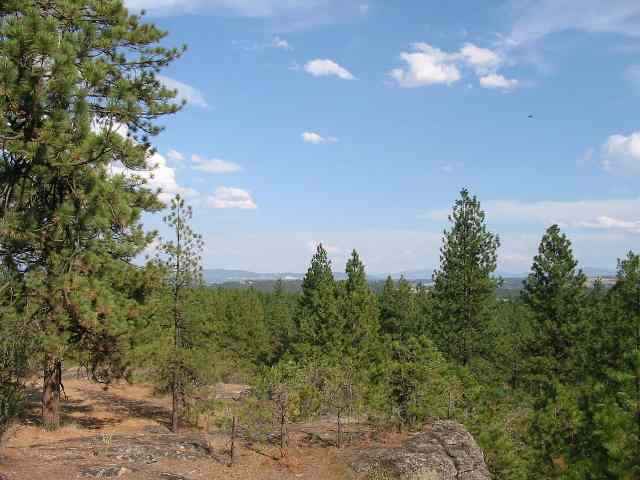 1319 West Austin Road, Unit LOT 3 Spokane, WA 99208 - Photo 8 of 9