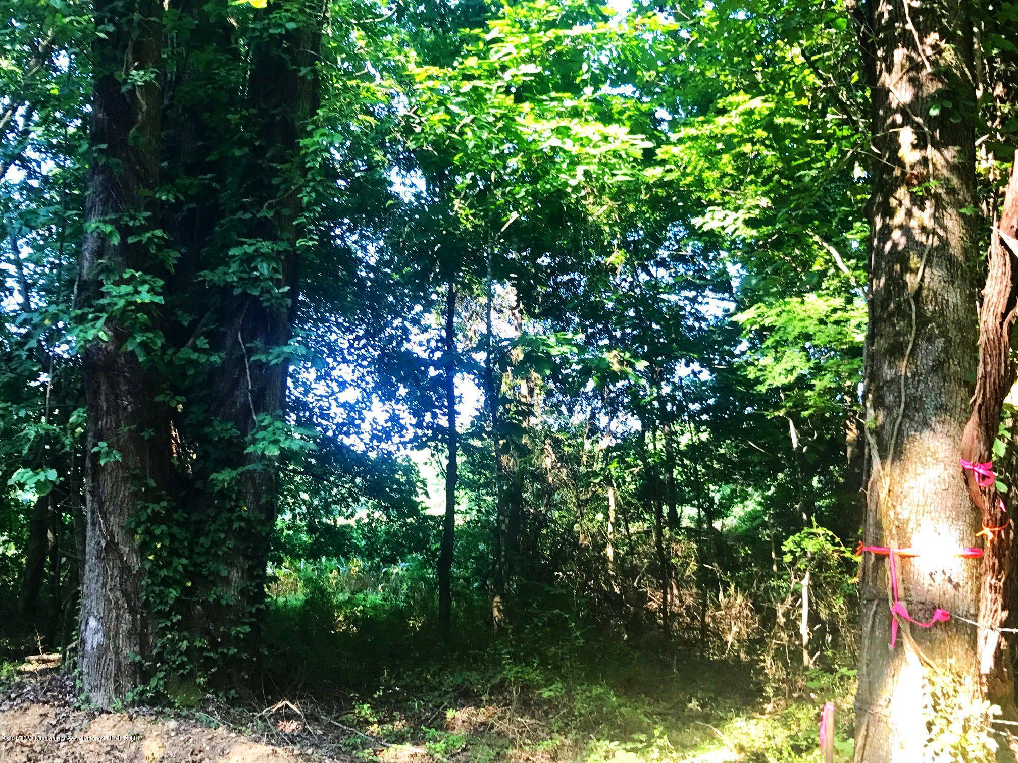 Xx Ferrell Road Batesville, MS 38606 - Photo 10 of 18 4