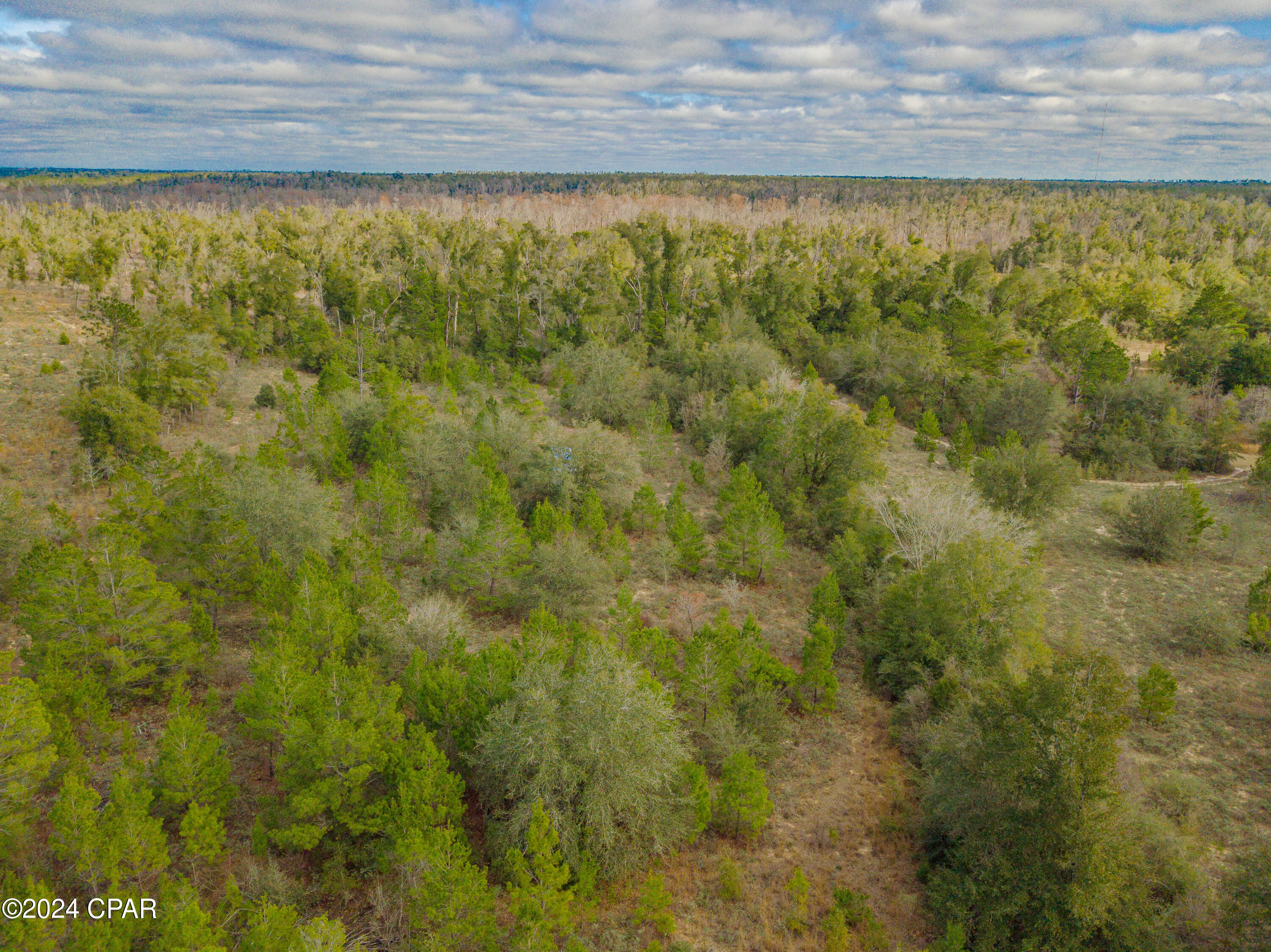 Tbd Porter Pond Road Youngstown, FL 32466 - Photo 10 of 15 Gallery Image 10
