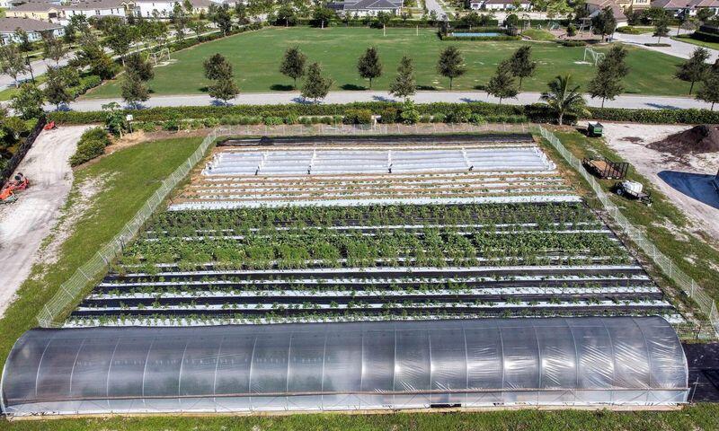 19017 Fly Rod Road Loxahatchee, FL 33470 - Photo 46 of 52 45