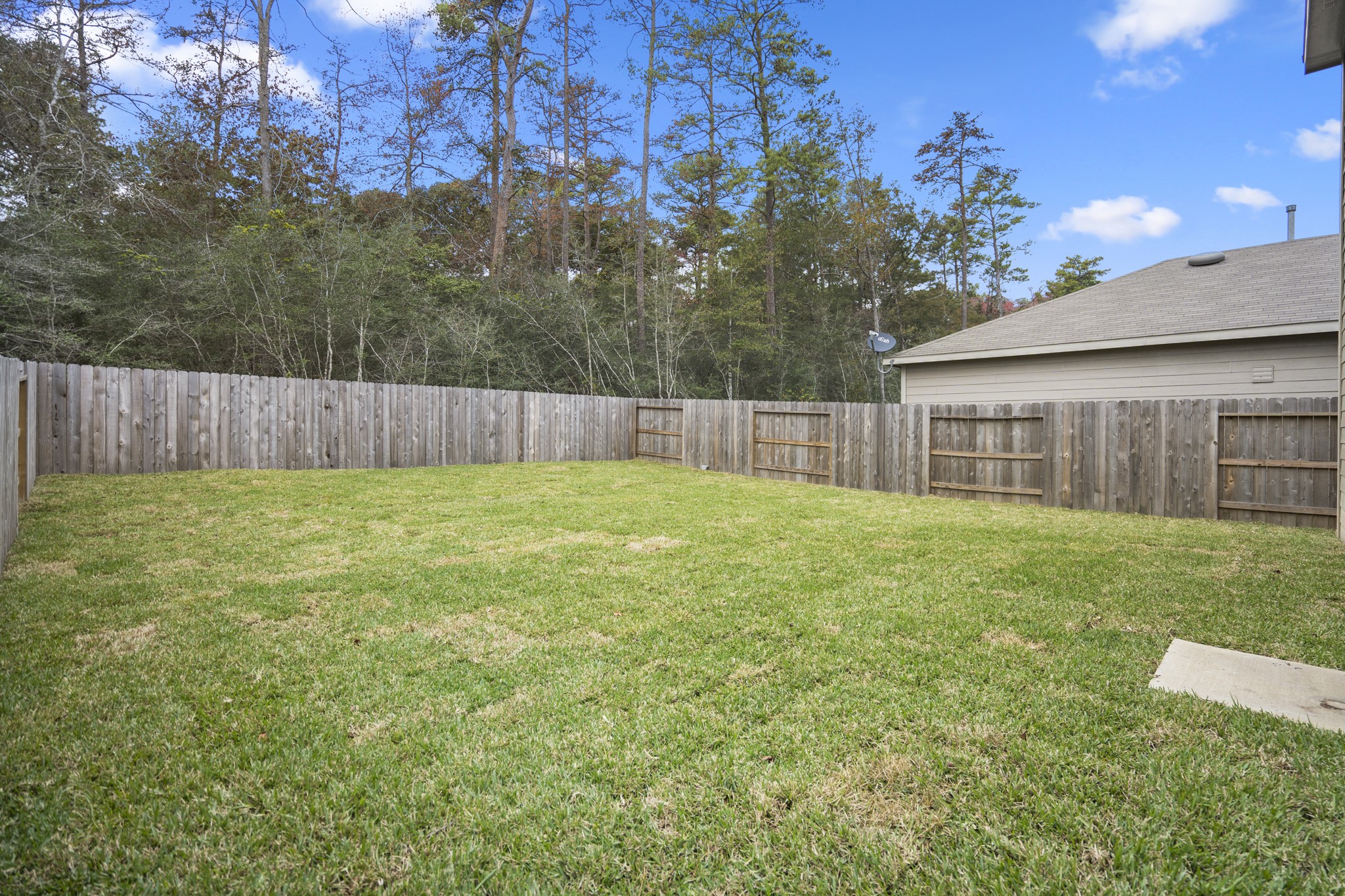 10477 Pineland Drive Willis, TX 77378 - Photo 26 of 27 a view of a backyard with a small cabin