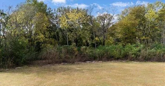 a view of a yard with trees