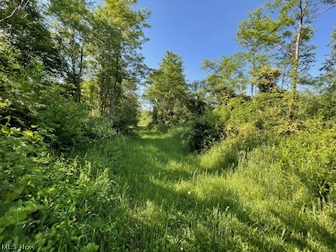 0 Maumee Road Bethesda, OH 43719 - Photo 11 of 14 Gallery Image 11