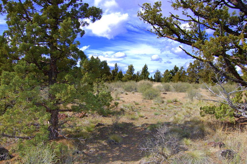 7500 Crow Road Prineville, OR 97754 - Photo 4 of 14 DSC_3602