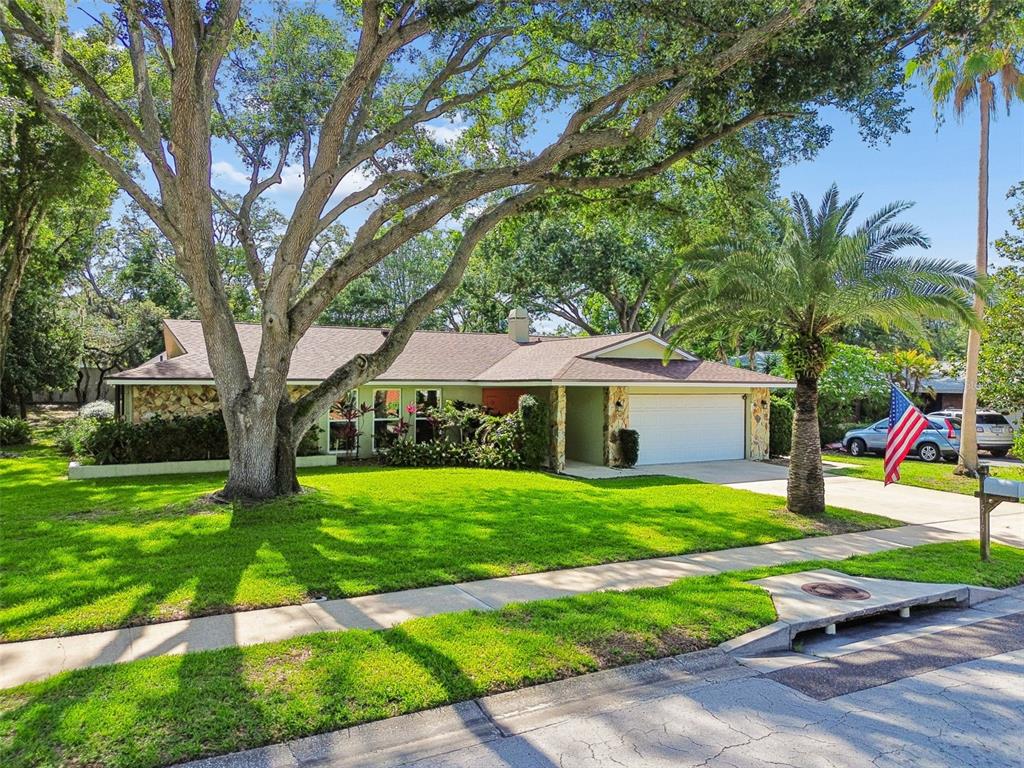 515 Sandy Hook Road Palm Harbor, FL 34683 - Photo 61 of 83 Gallery Image 61