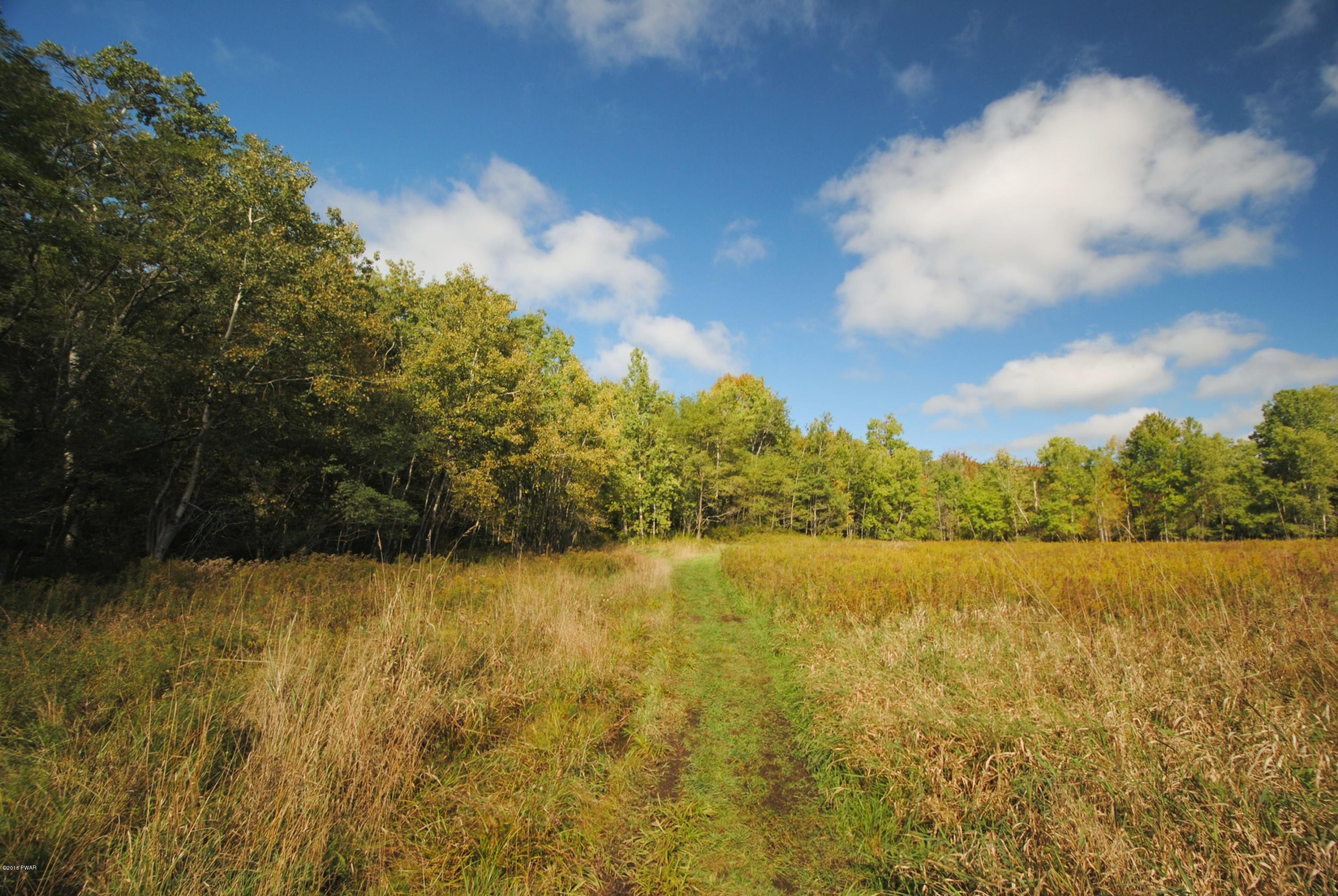 Maple Street Forest City, PA 18421 - Photo 4 of 10