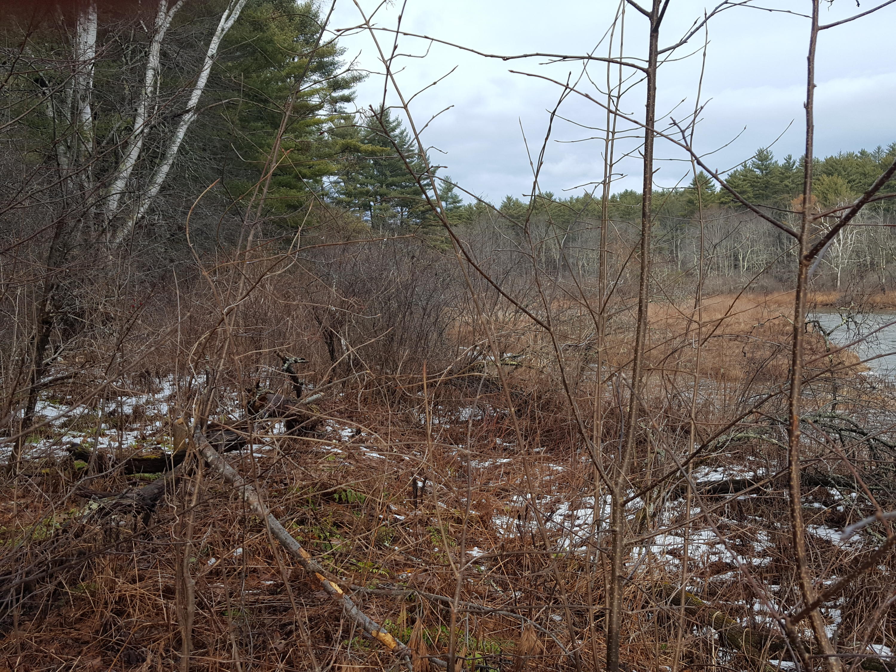 2200 Alna Road Alna, ME 04535 - Photo 41 of 59 20210117_104021