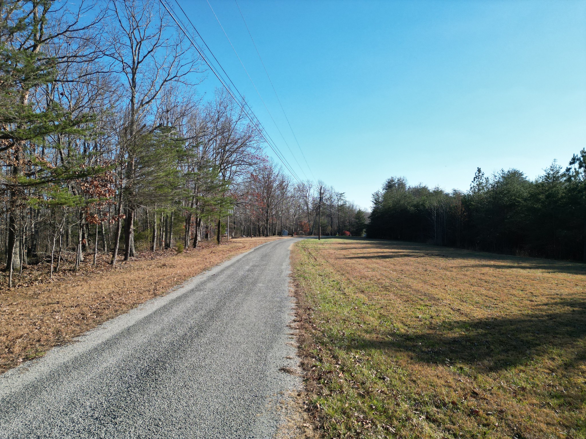 0 Lyell Road Hohenwald, TN 38462 - Photo 2 of 12 Gallery Image 2