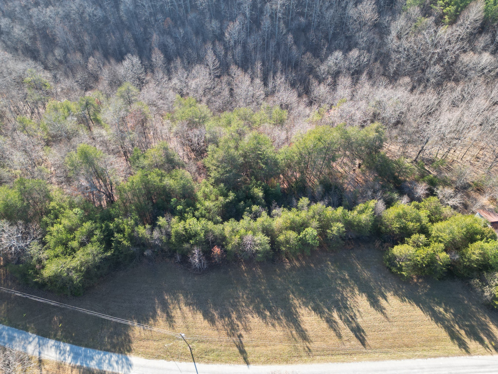 0 Lyell Road Hohenwald, TN 38462 - Photo 5 of 12 Gallery Image 5
