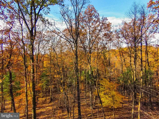 a backyard of a house with a street