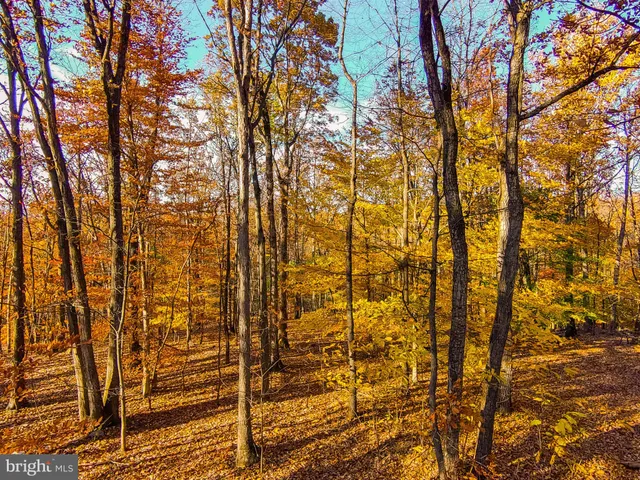 a view of outdoor space with sliding space