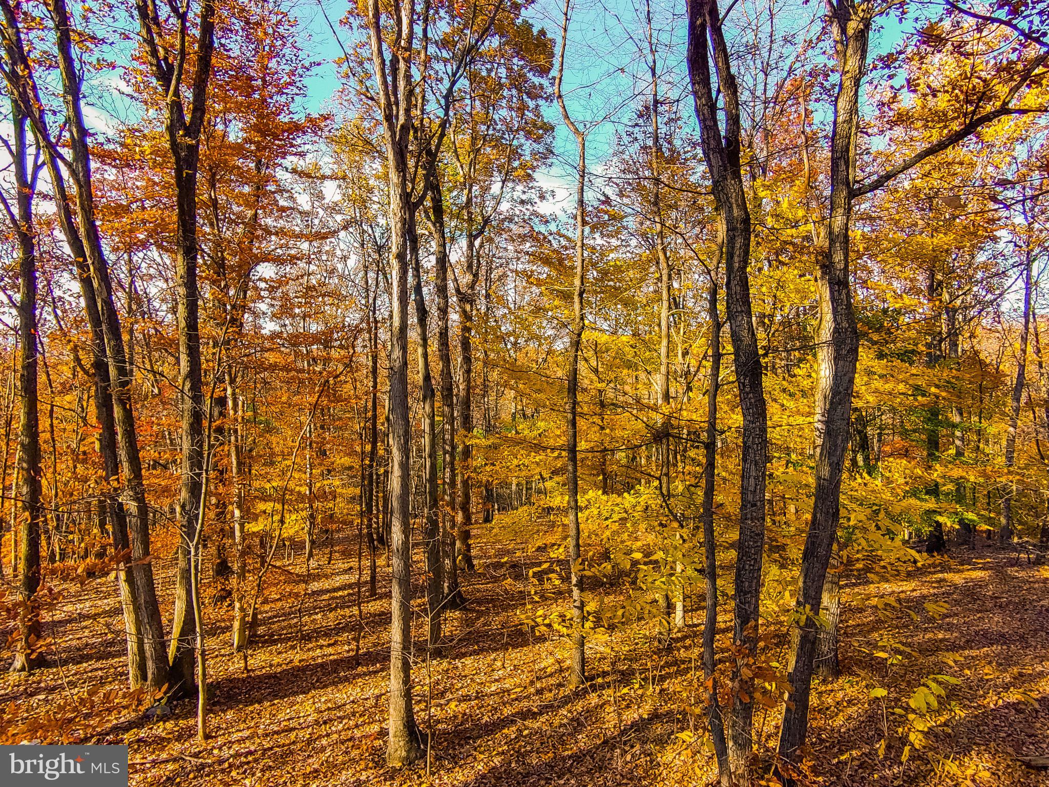 Goaway Road, Unit 1 Hedgesville, WV 25427 - Photo 12 of 19 a backyard of a house with a street
