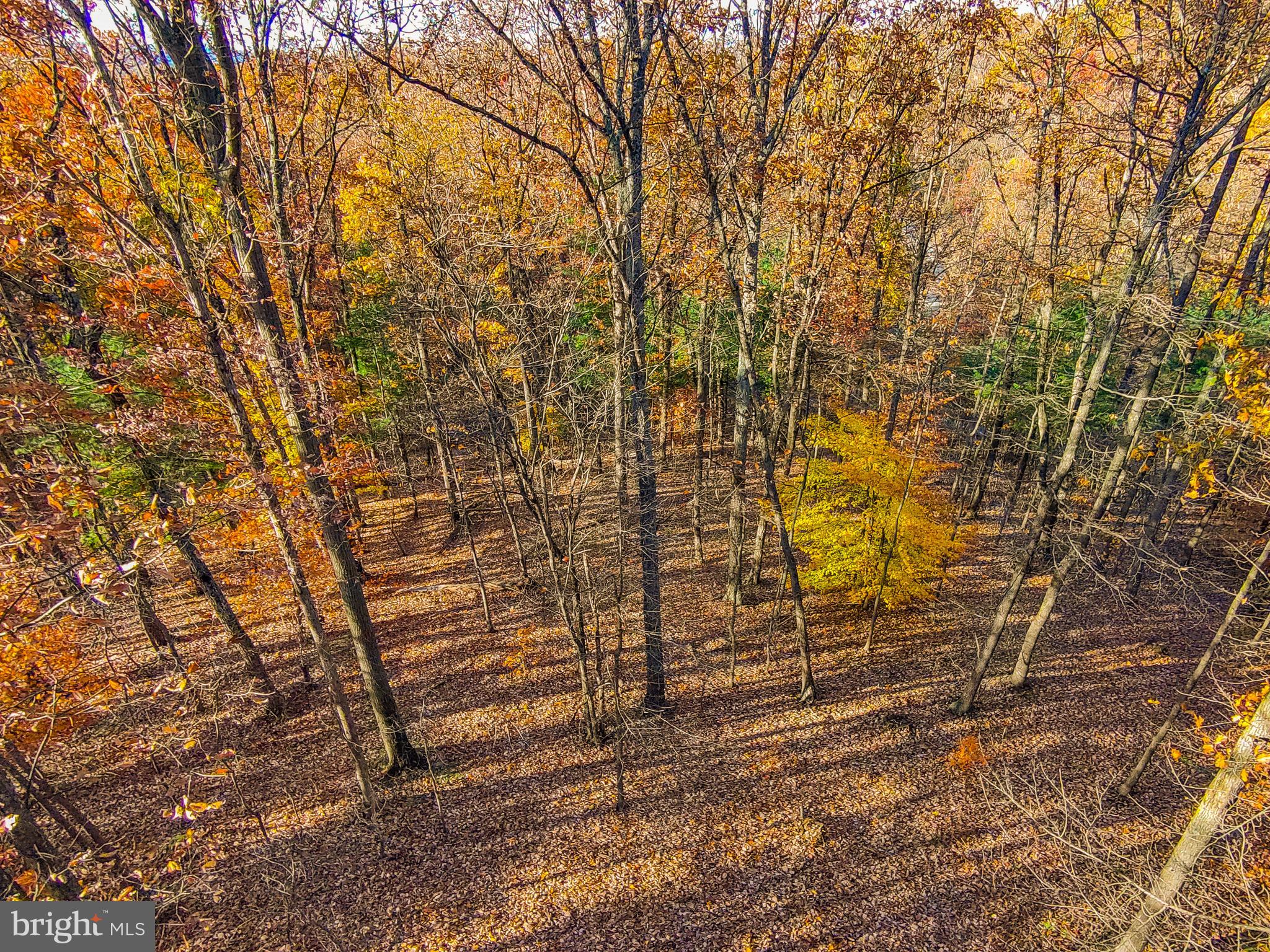 Goaway Road, Unit 1 Hedgesville, WV 25427 - Photo 15 of 19