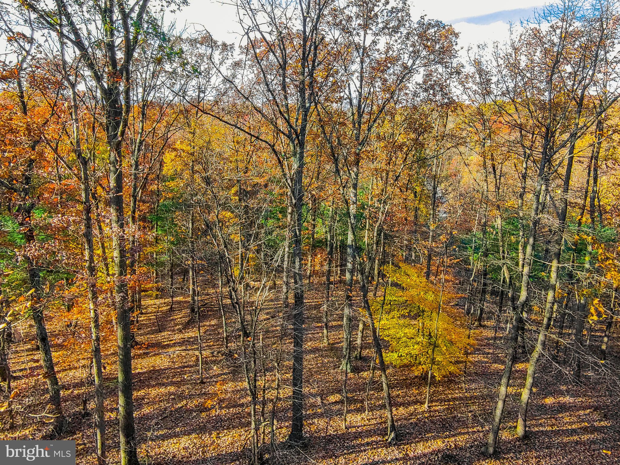 Goaway Road, Unit 1 Hedgesville, WV 25427 - Photo 16 of 19