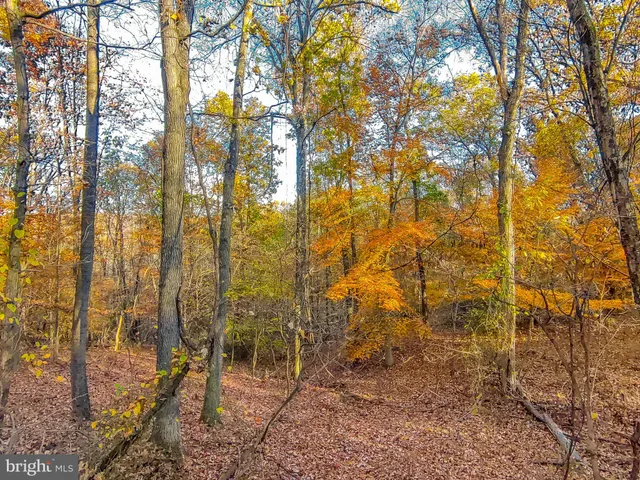 $475,000 | Goaway Road, Unit 1, Hedgesville, WV 25427