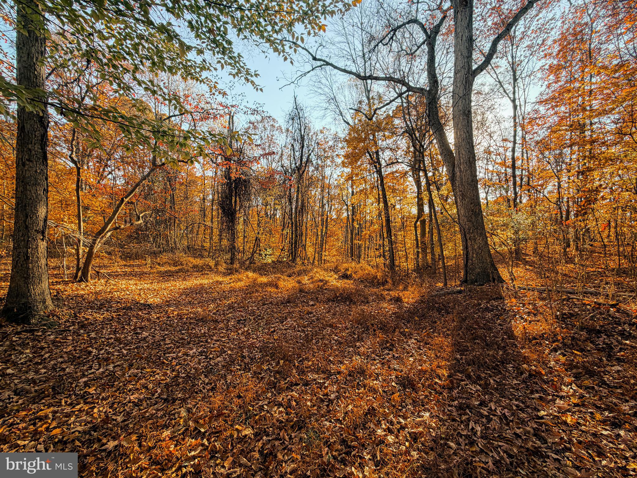 Goaway Road, Unit 1 Hedgesville, WV 25427 - Photo 8 of 19 a view of backyard of building with green space