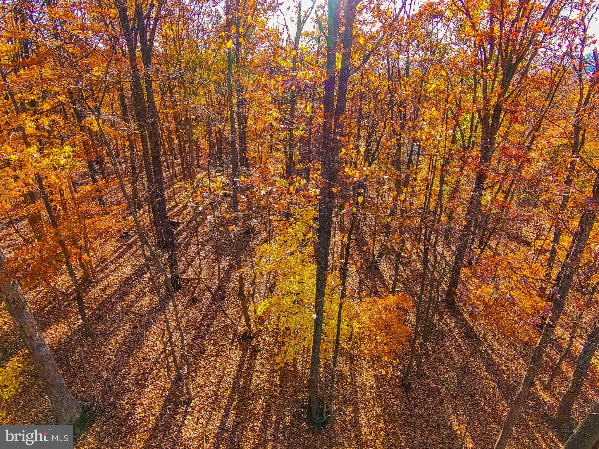 Goaway Road, Unit 1 Hedgesville, WV 25427 - Photo 9 of 19