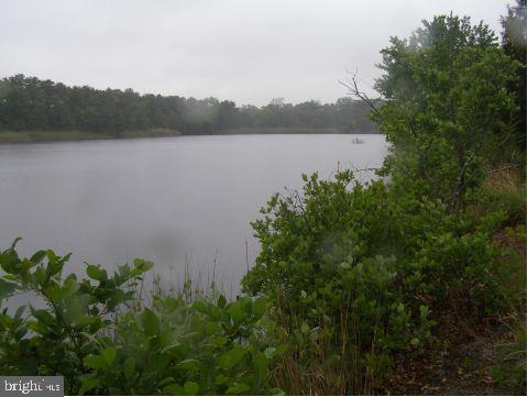 40 Magnolia Road Manahawkin, NJ 08050 - Photo 12 of 12