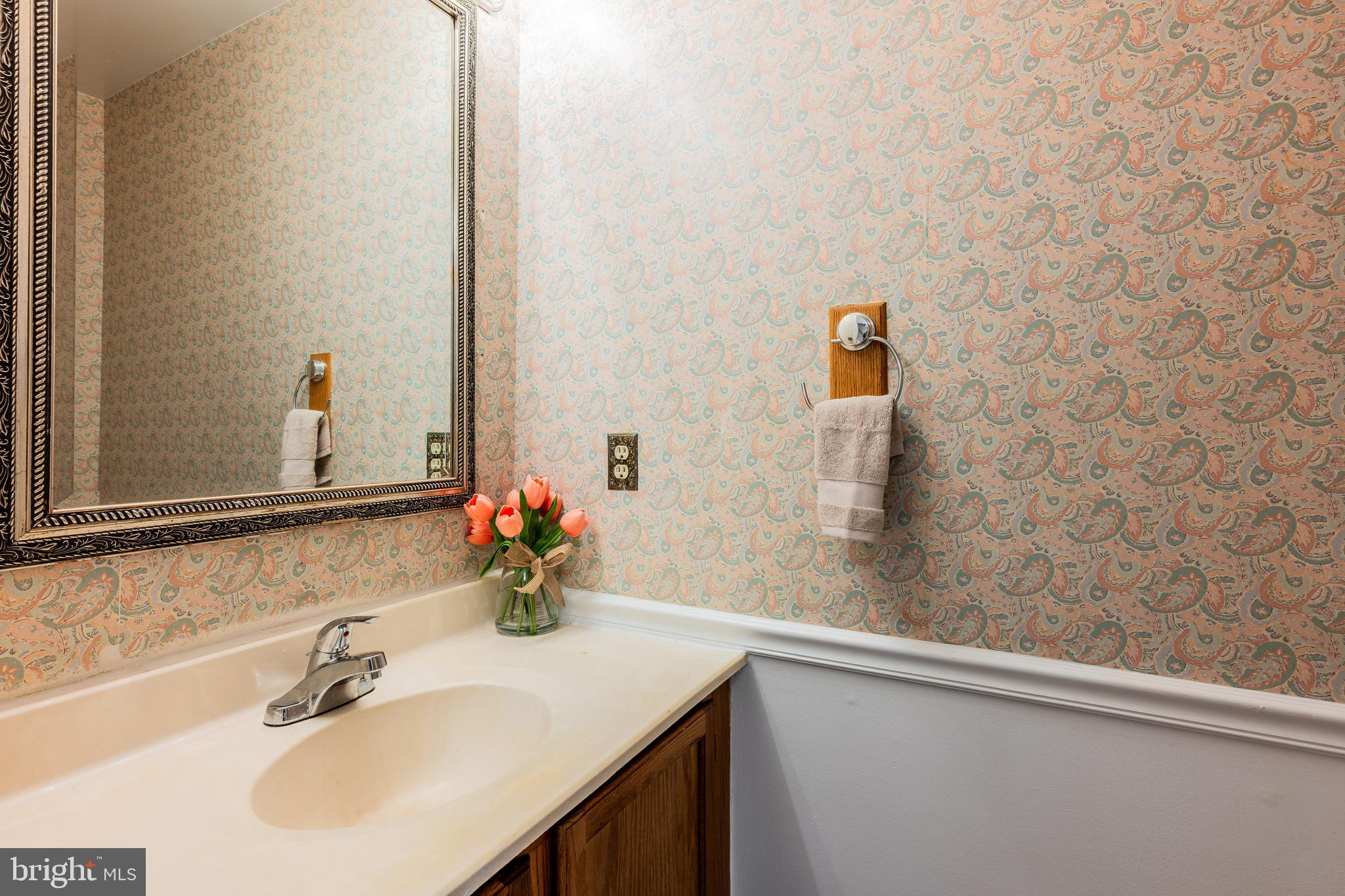 2212 Blue Valley Drive Silver Spring, MD 20904 - Photo 31 of 61 a bathroom with a sink and a mirror