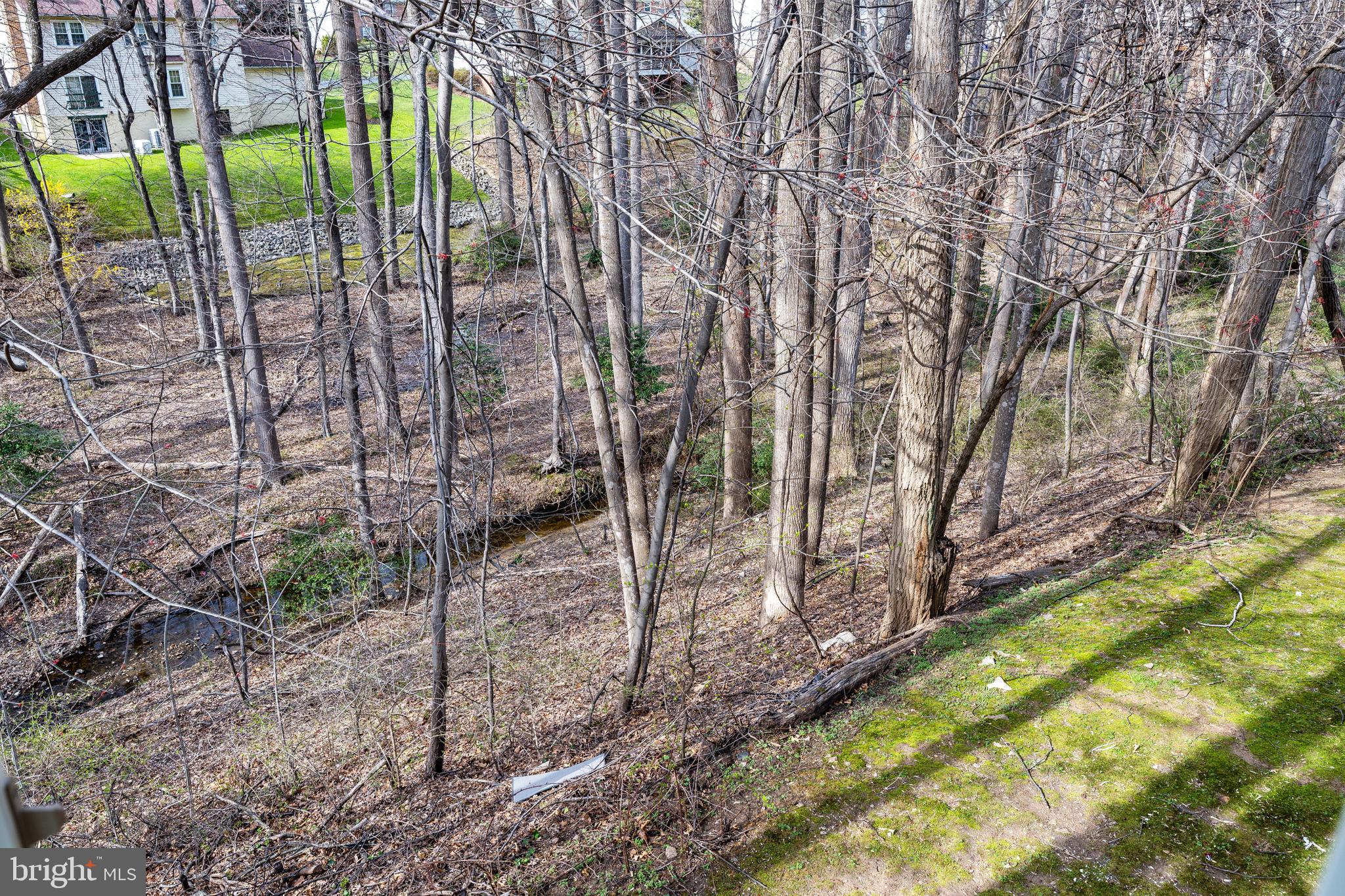 2212 Blue Valley Drive Silver Spring, MD 20904 - Photo 58 of 61 a backyard of a house with lots of green space