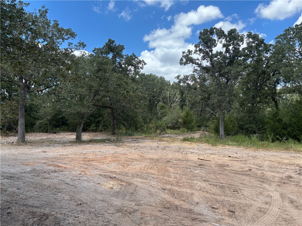 6042 Straub Road College Station, TX 77845 - Photo 1 of 1 Gallery Image 1