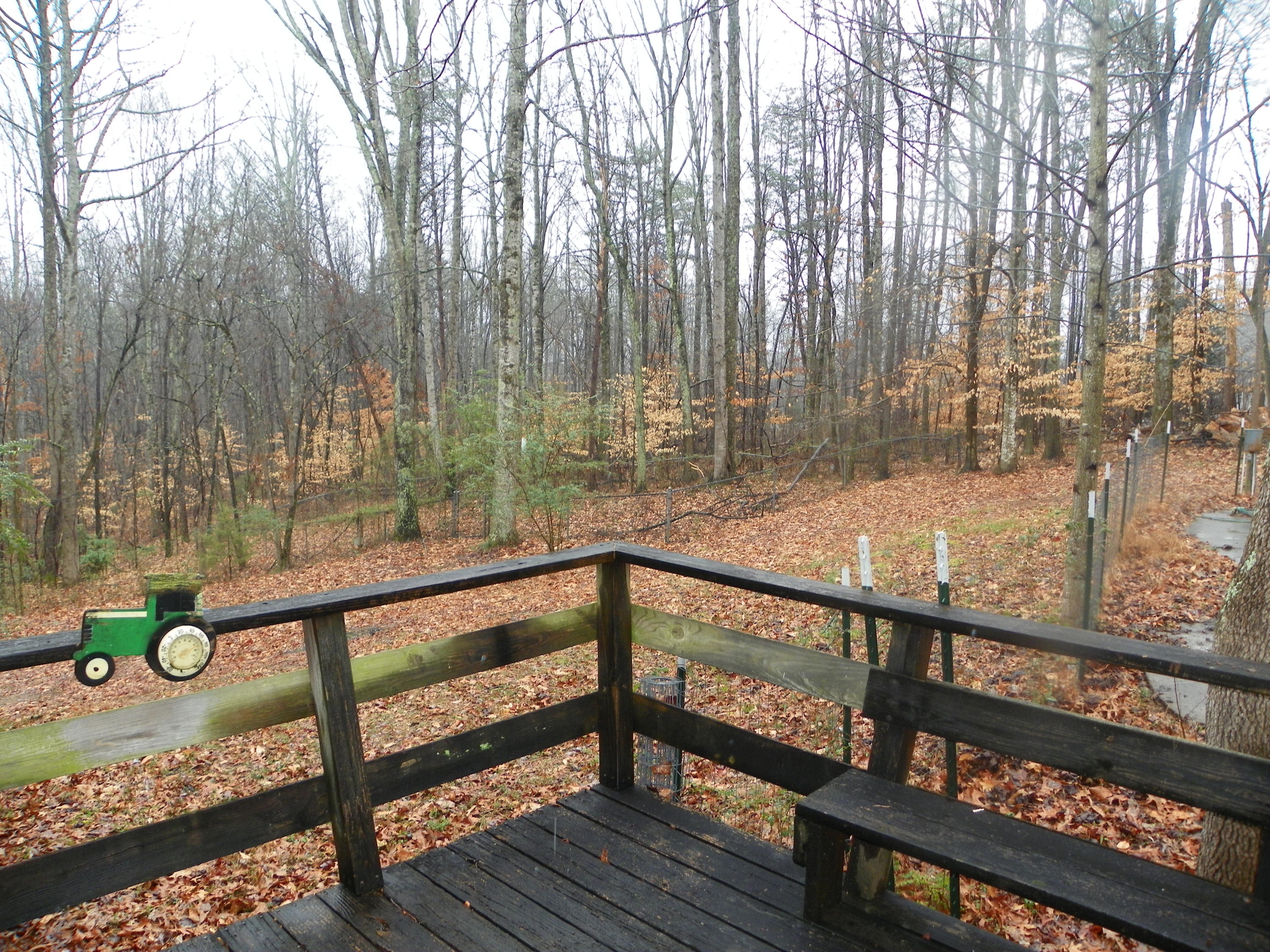 174 White Loop Road Clinton, TN 37716 - Photo 23 of 23 100_0607