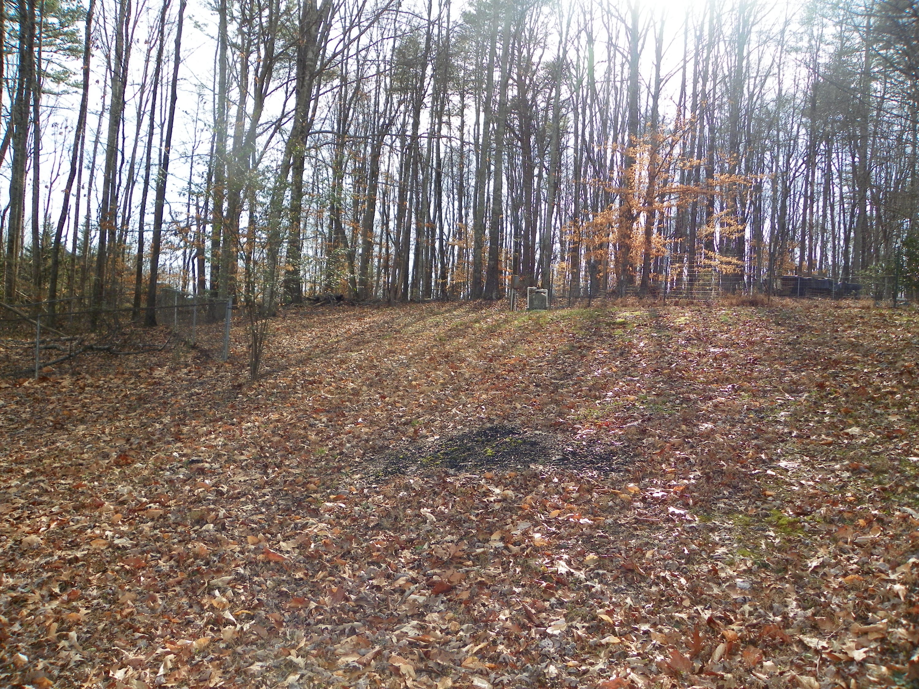174 White Loop Road Clinton, TN 37716 - Photo 4 of 23 100_0602