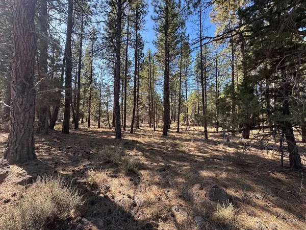 $58,888 | 0 Tennant / Mt Hebron Highway, Macdoel, CA 96058