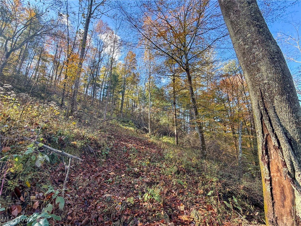Schmeltzer Road Bremen, OH 43107 - Photo 20 of 37 View of tree filled area