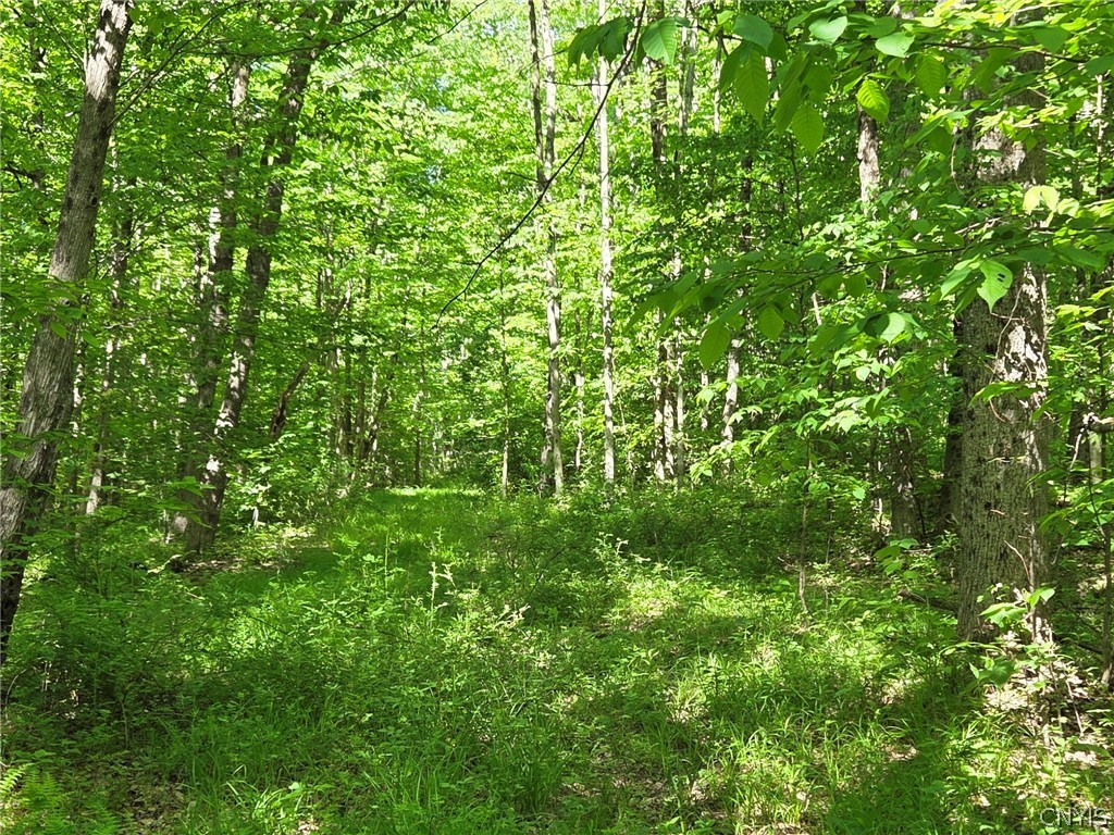 446 Nys Route Cuba, NY 14727 - Photo 46 of 47