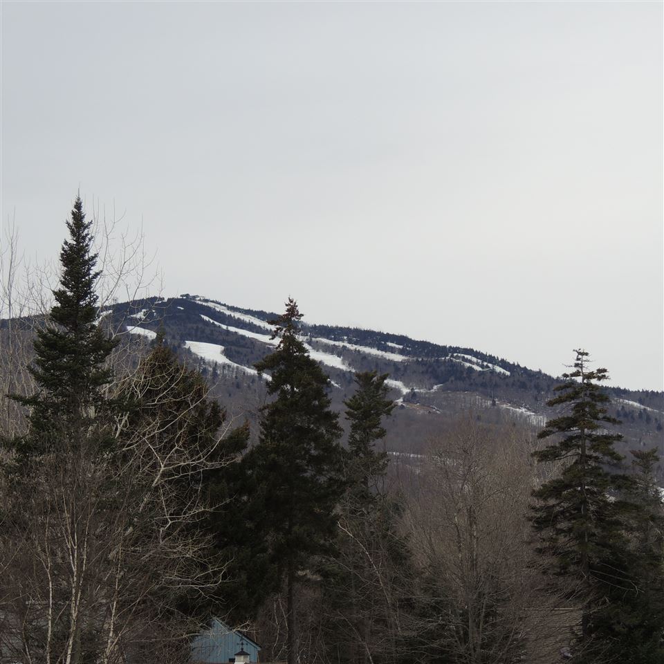 17 Mill Road West Dover, VT 05356 - Photo 24 of 24