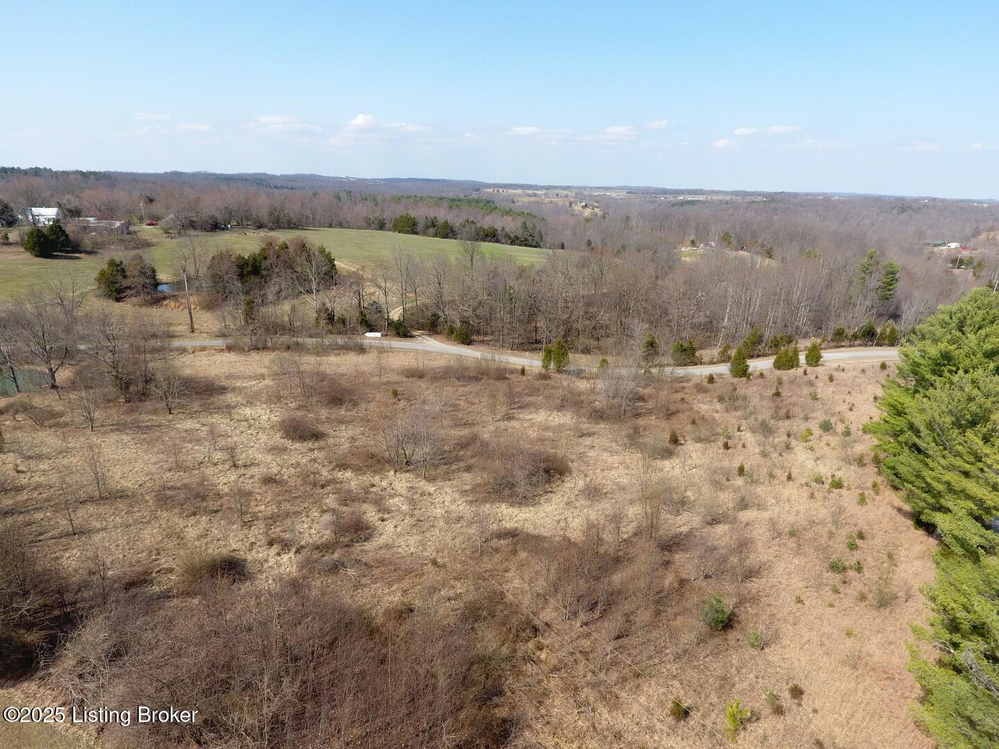 Lot 2 Sadler Road Leitchfield, KY 42754 - Photo 4 of 4 Twist Auction104