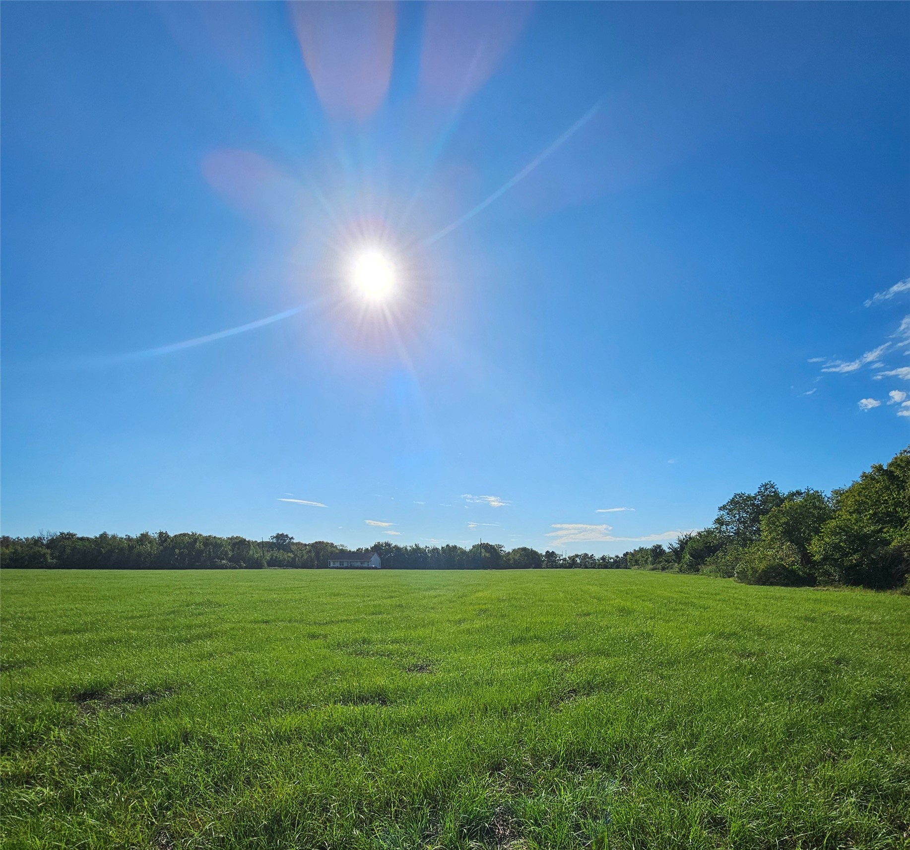 9621 FM 521 Road Rosharon, TX 77583 - Photo 13 of 14 A ground-level view offers a true sense of the space available