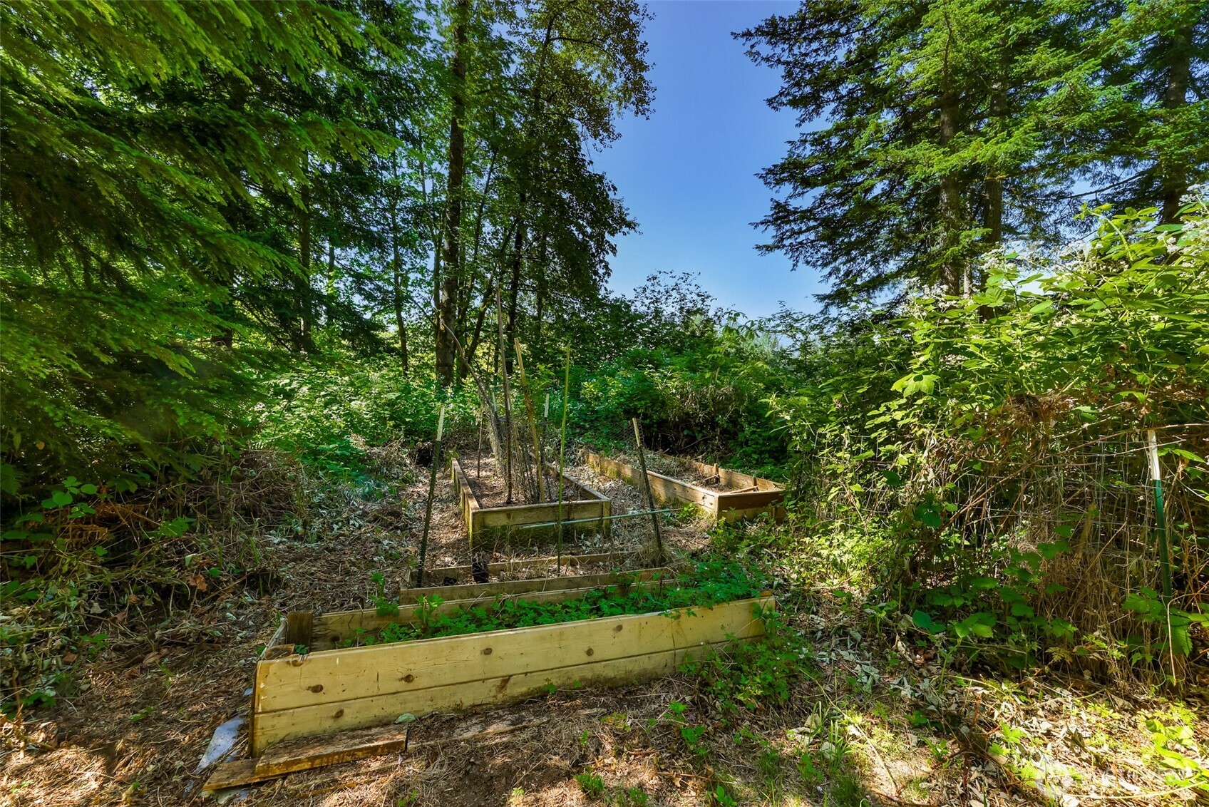 42215 May Creek Road Gold Bar, WA 98251 - Photo 7 of 27