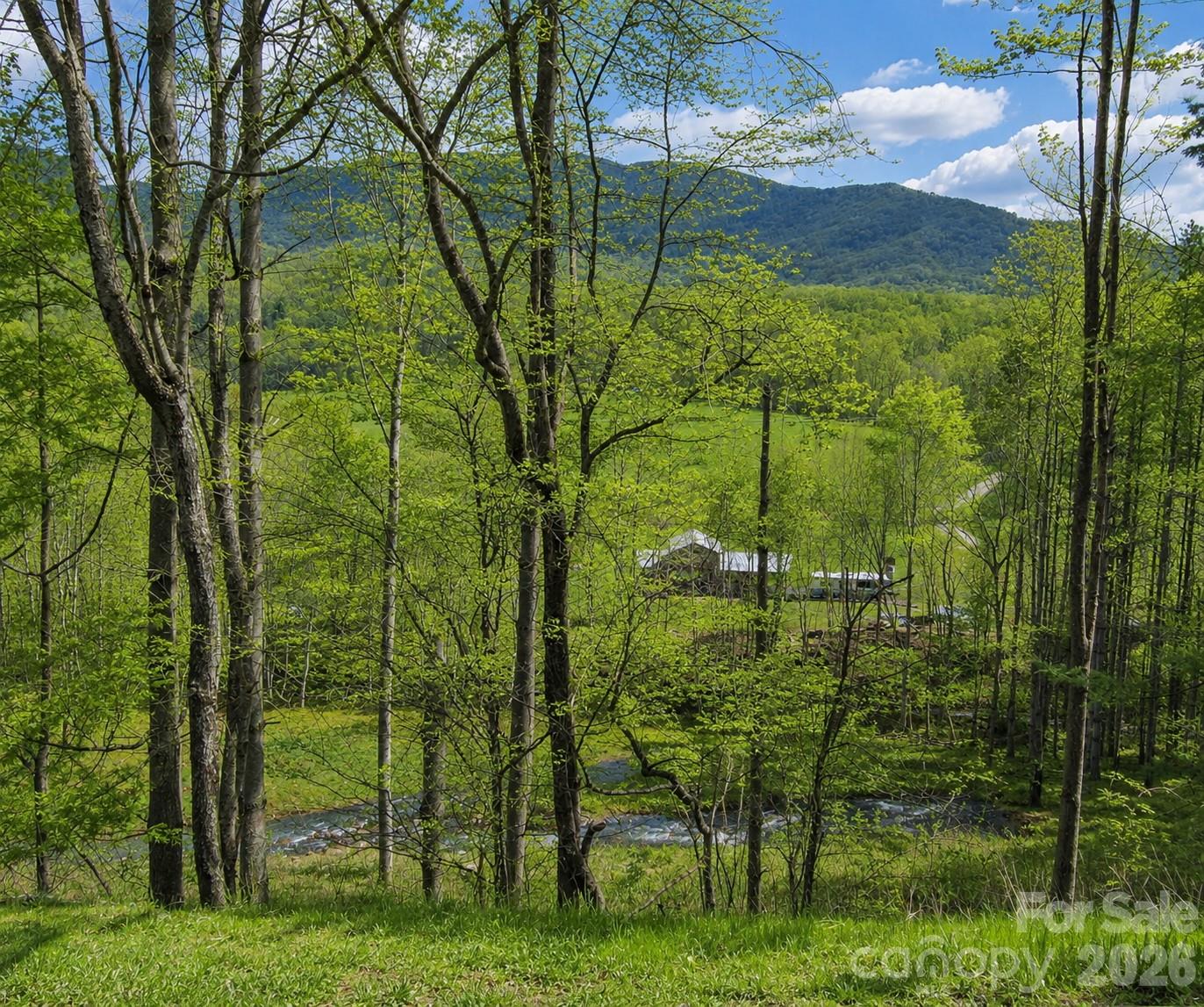 0 Pumpkin Patch Road Bakersville, NC 28705 - Photo 4 of 42